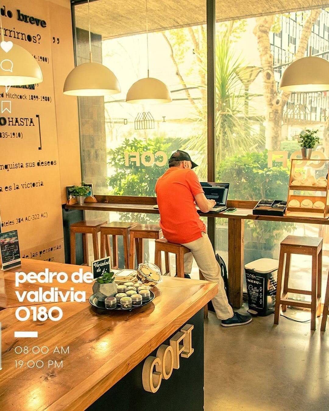 Imagen 8