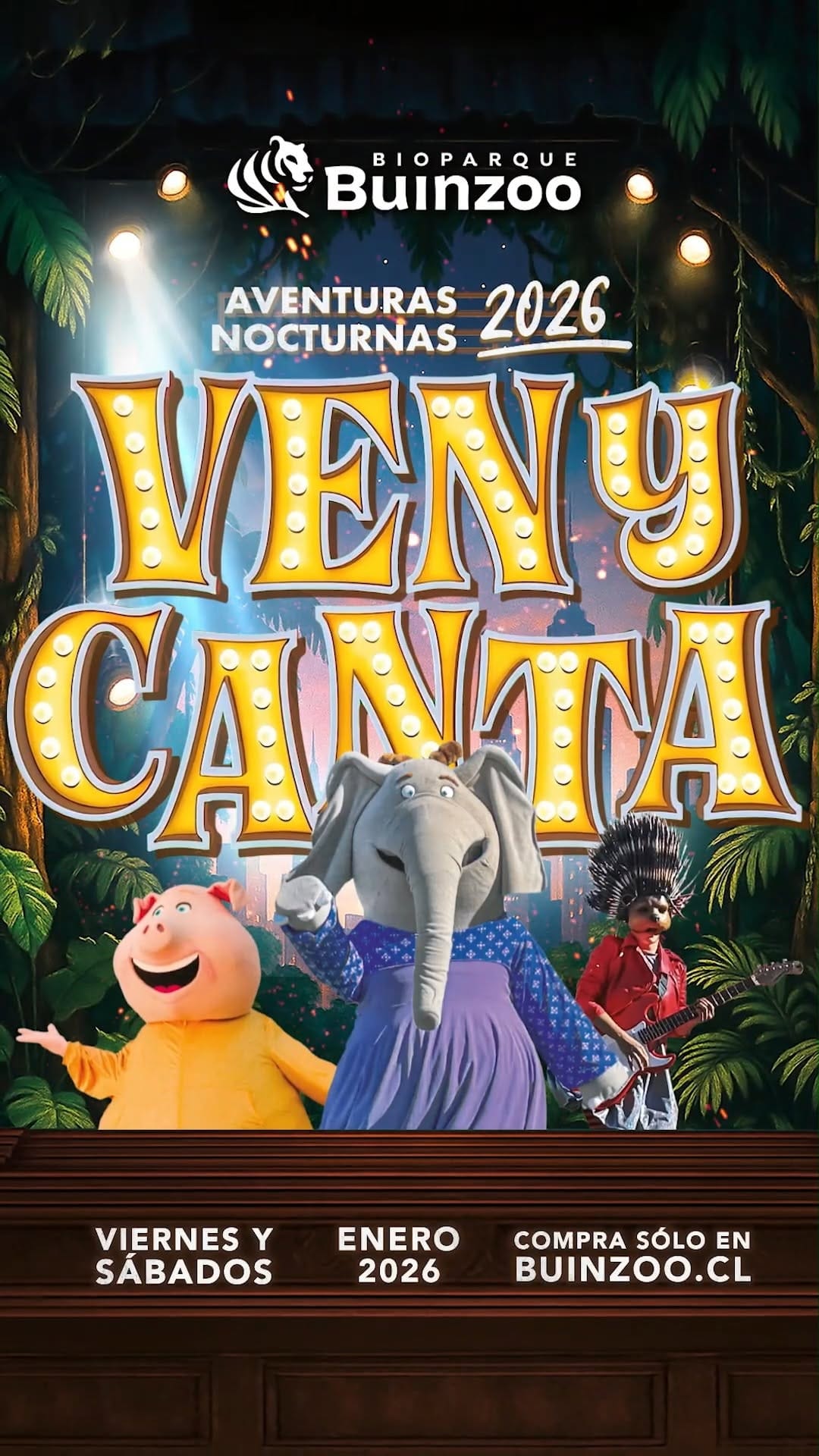 Imagen 6