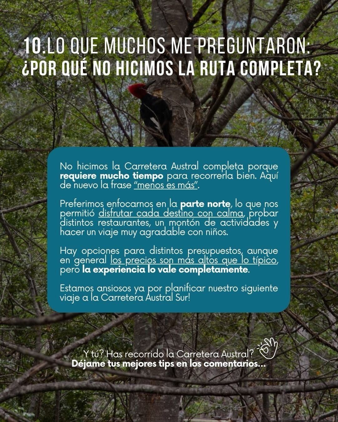 Imagen 17