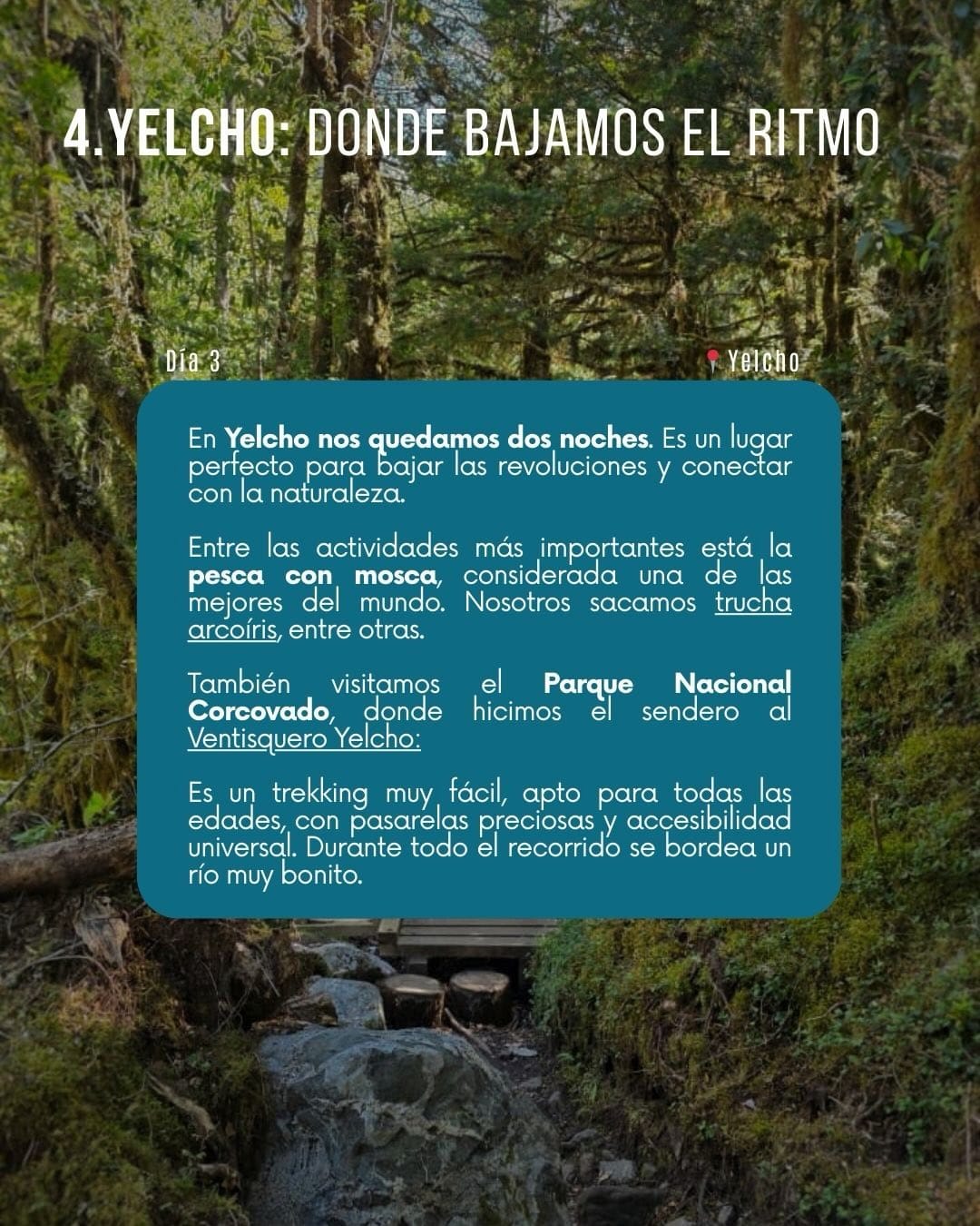 Imagen 7