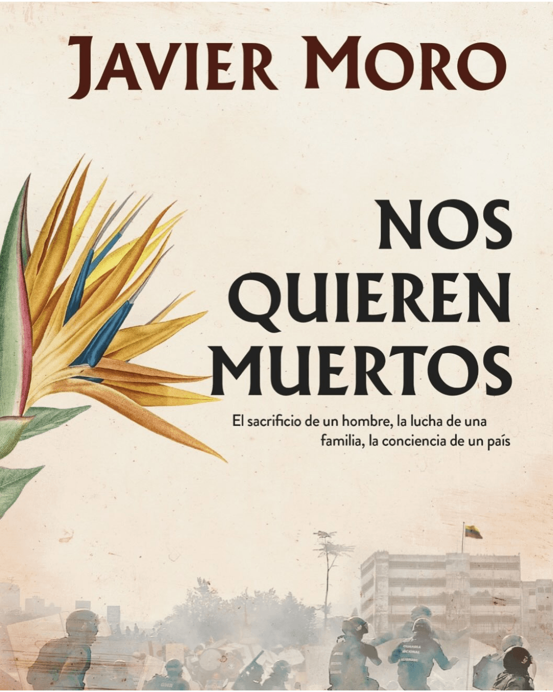 Imagen 8