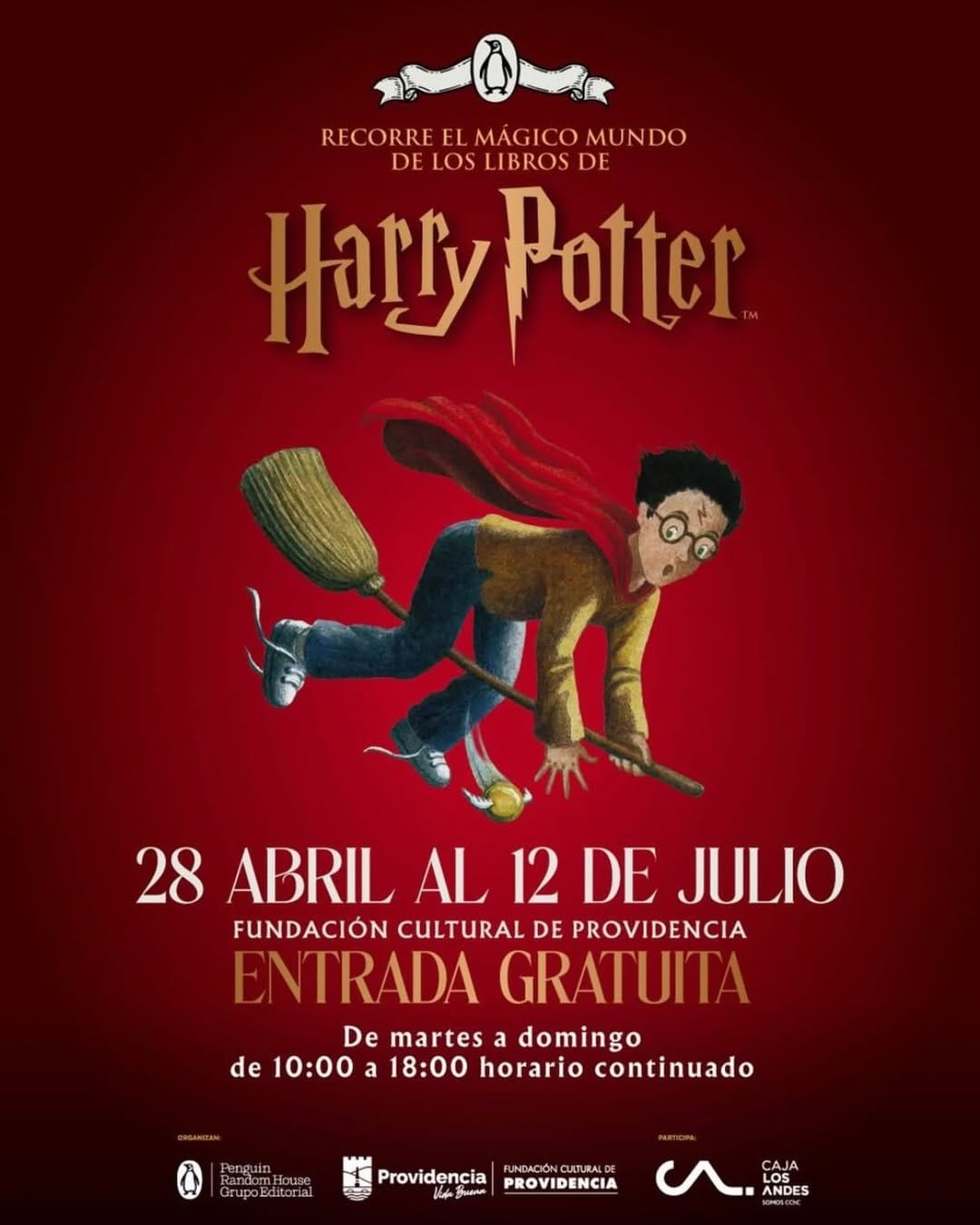 Imagen 11