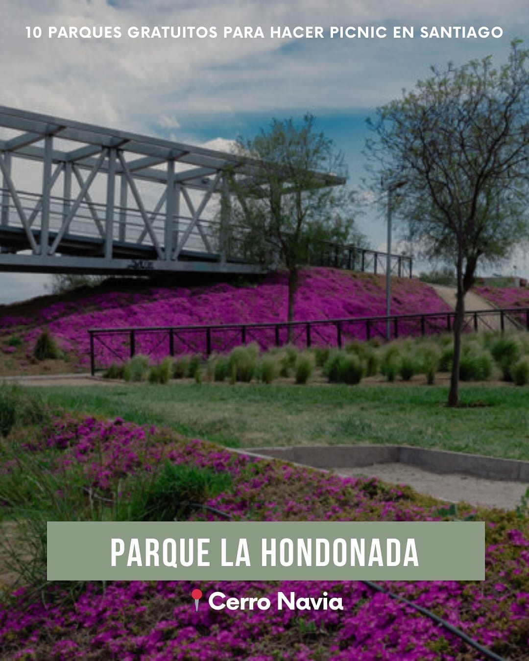 Imagen 11