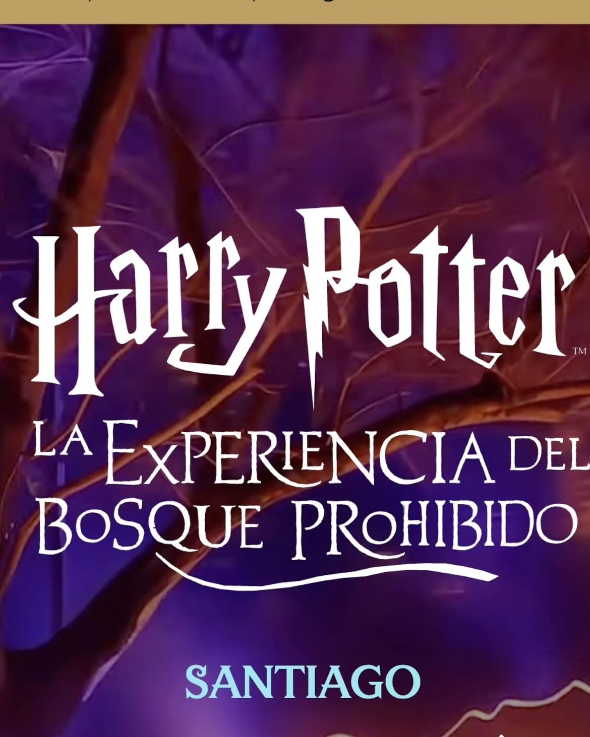 Imagen 8