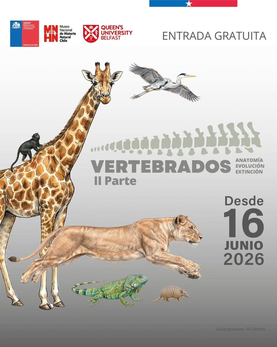 Imagen 2