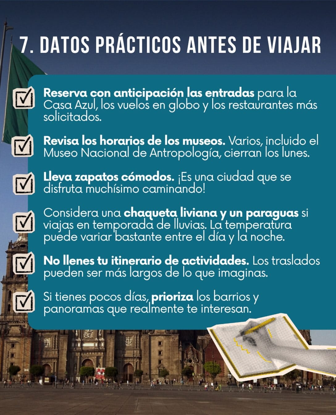 Imagen 9
