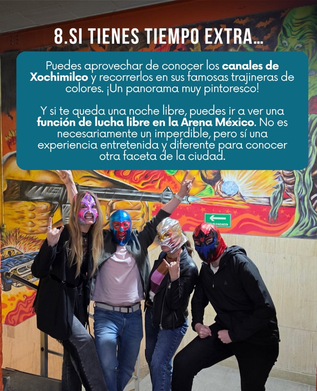 Imagen 10